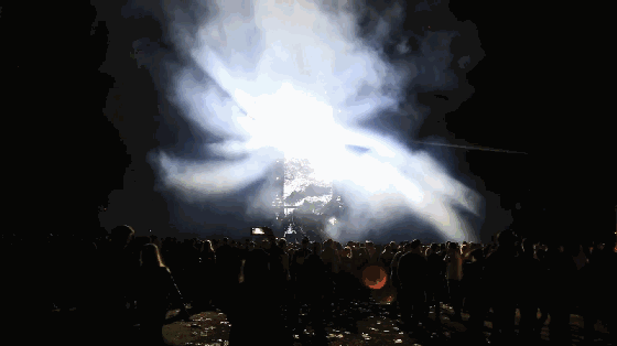 光的藤蔓在墙上疯长的样子，像极了爱情