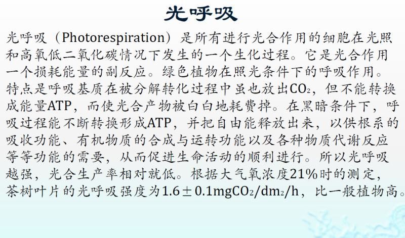 【光电热点大家谈】光合作用光反应产物与供光模式关系研究与探讨