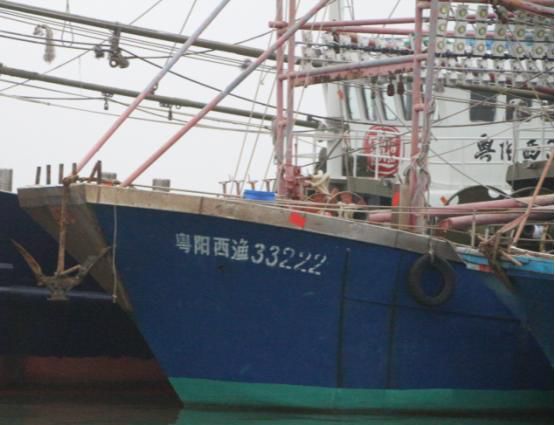 LED集鱼灯应用推广前景讨论