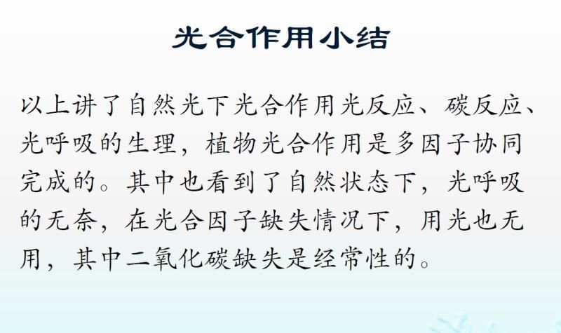 【光电热点大家谈】光合作用光反应产物与供光模式关系研究与探讨