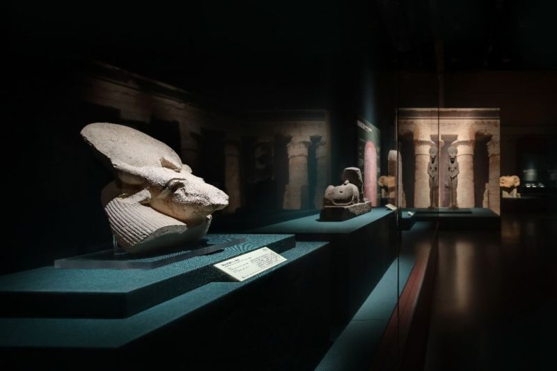 穿越四千年的历史对视——古埃及文明特展