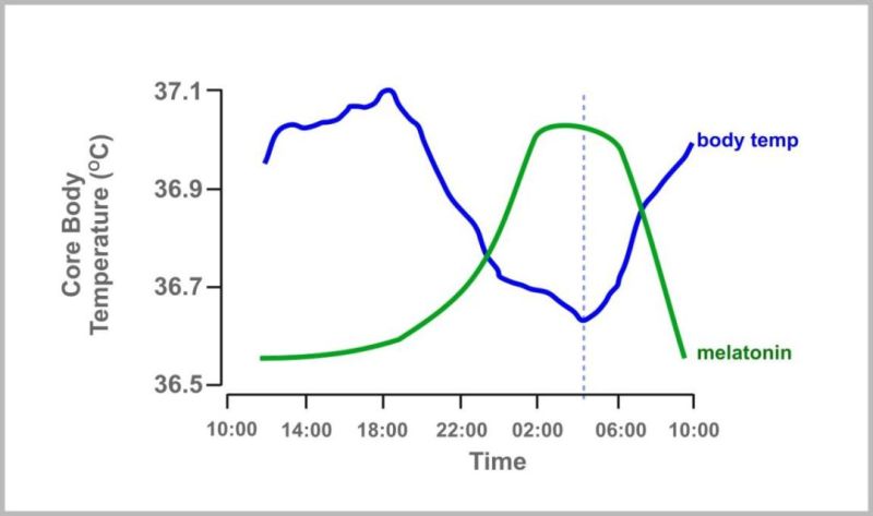 全光谱对于健康照明的意义，中昊光电如何考量？