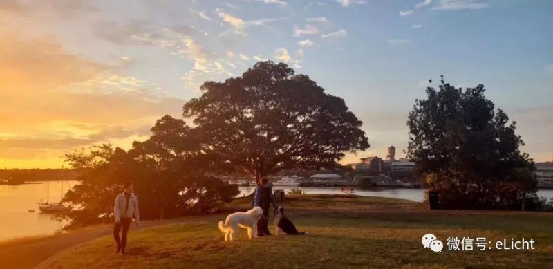 与光共舞作品荣膺2019悉尼灯光节官评装置类第一