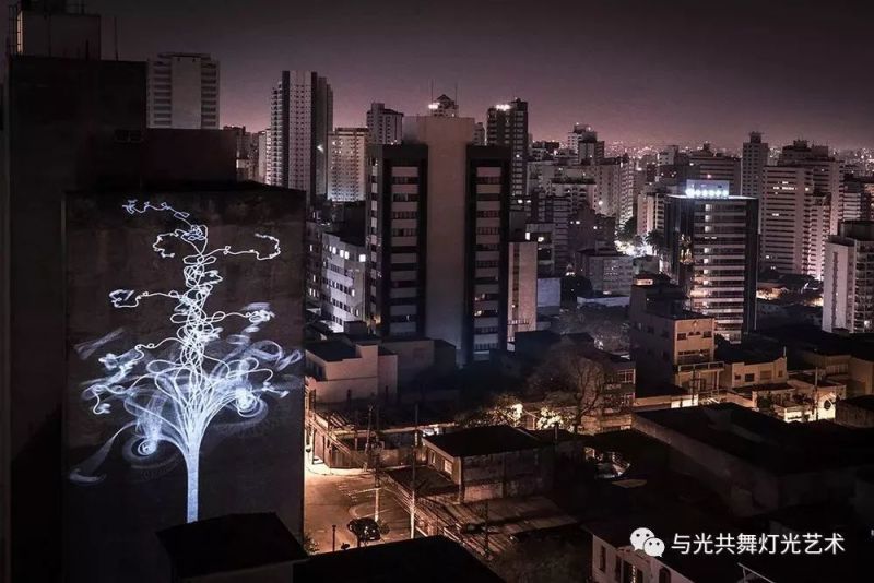 光的藤蔓在墙上疯长的样子，像极了爱情