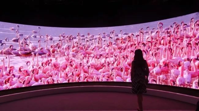 四句话总结2019北京IFC展参展心得