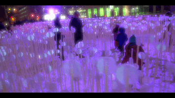 在设计之城蒙特利尔，收割发光的麦田 | 与光共舞