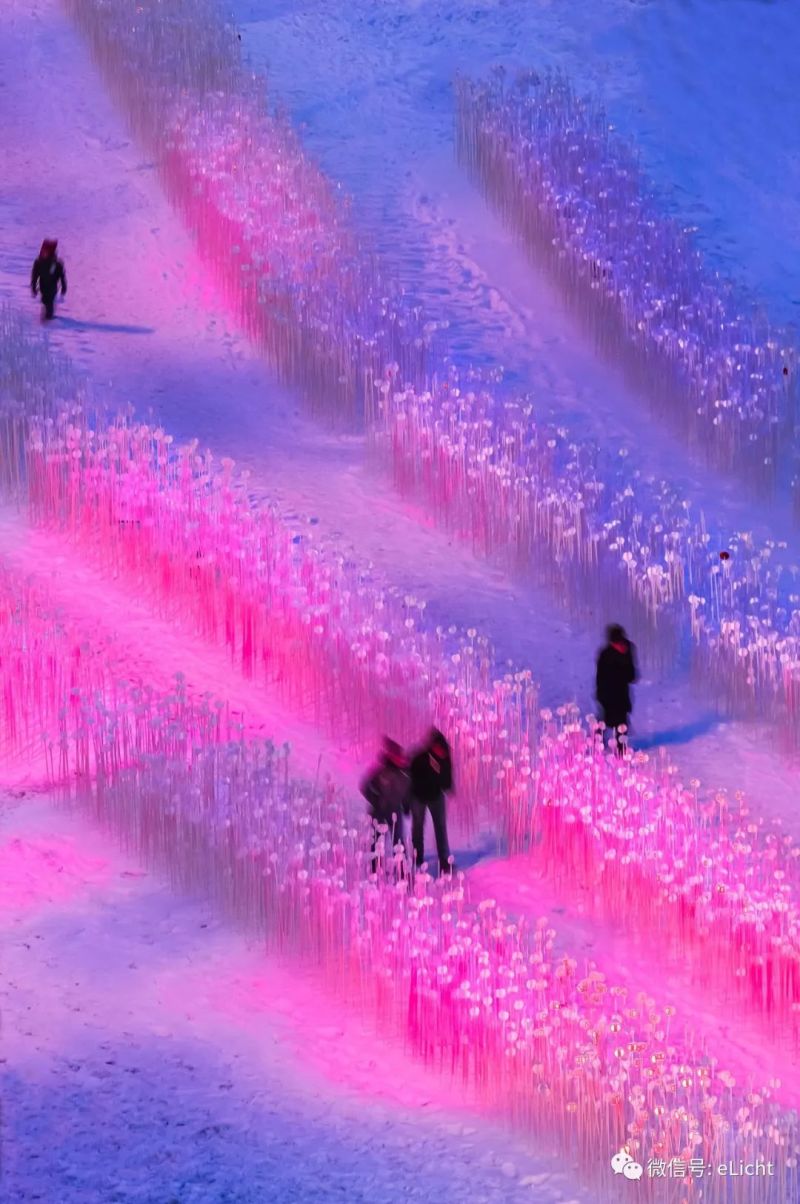 在设计之城蒙特利尔，收割发光的麦田 | 与光共舞