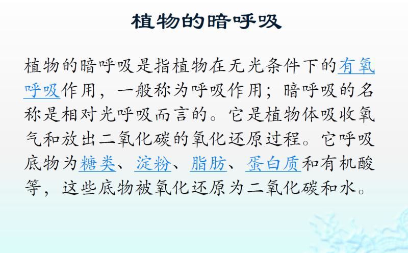 【光电热点大家谈】光合作用光反应产物与供光模式关系研究与探讨