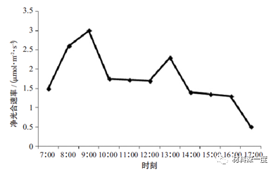 LED人工补光在植物照明中的应用