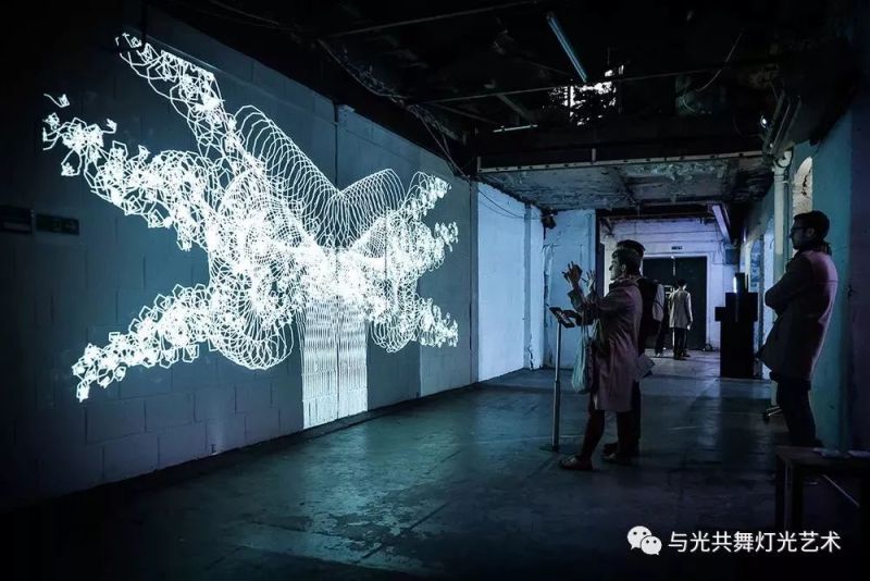 光的藤蔓在墙上疯长的样子，像极了爱情