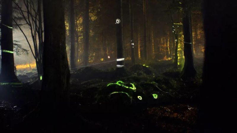 与光共舞｜魔法森林，雨落成光交响曲