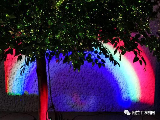 从刷爆朋友圈看今年光亚展都有哪些趋势？