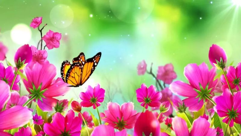 【展望】知识产权路上，LED企业在行动