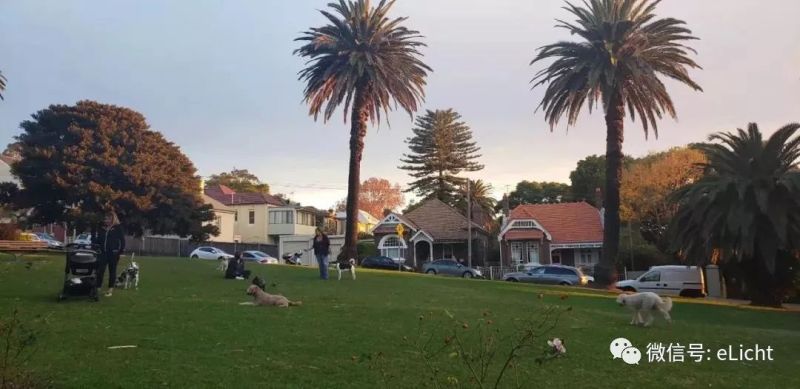 与光共舞作品荣膺2019悉尼灯光节官评装置类第一