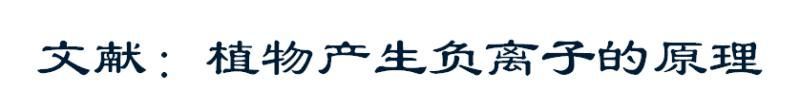 【光电热点大家谈】光合作用光反应产物与供光模式关系研究与探讨