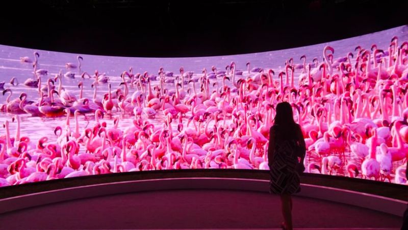 三星The Wall/索尼“黑彩晶”首次亮相中国，Micro LED还远吗？