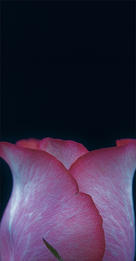 一张图读懂瑞丰首创MiniLed全球智能显示行业革命性产品！