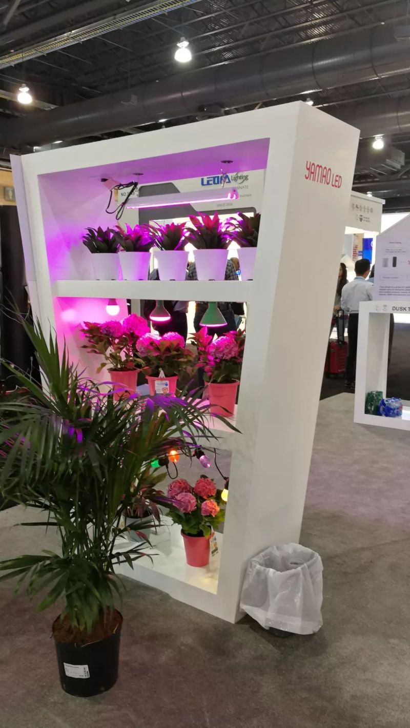 【行业资讯】老洪带你逛2019美国国际照明展（二）