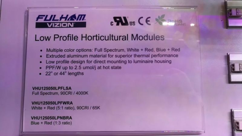 【行业资讯】老洪带你逛2019美国国际照明展（二）