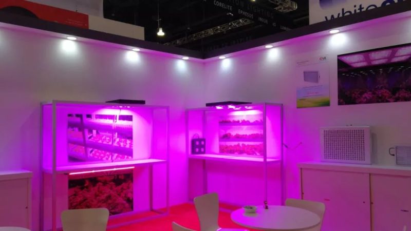 【行业资讯】老洪带你逛2019美国国际照明展（二）