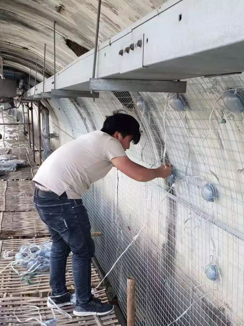 “上海·不夜的精彩”，看进博会如何打造黄浦江水中的高防水性照明！