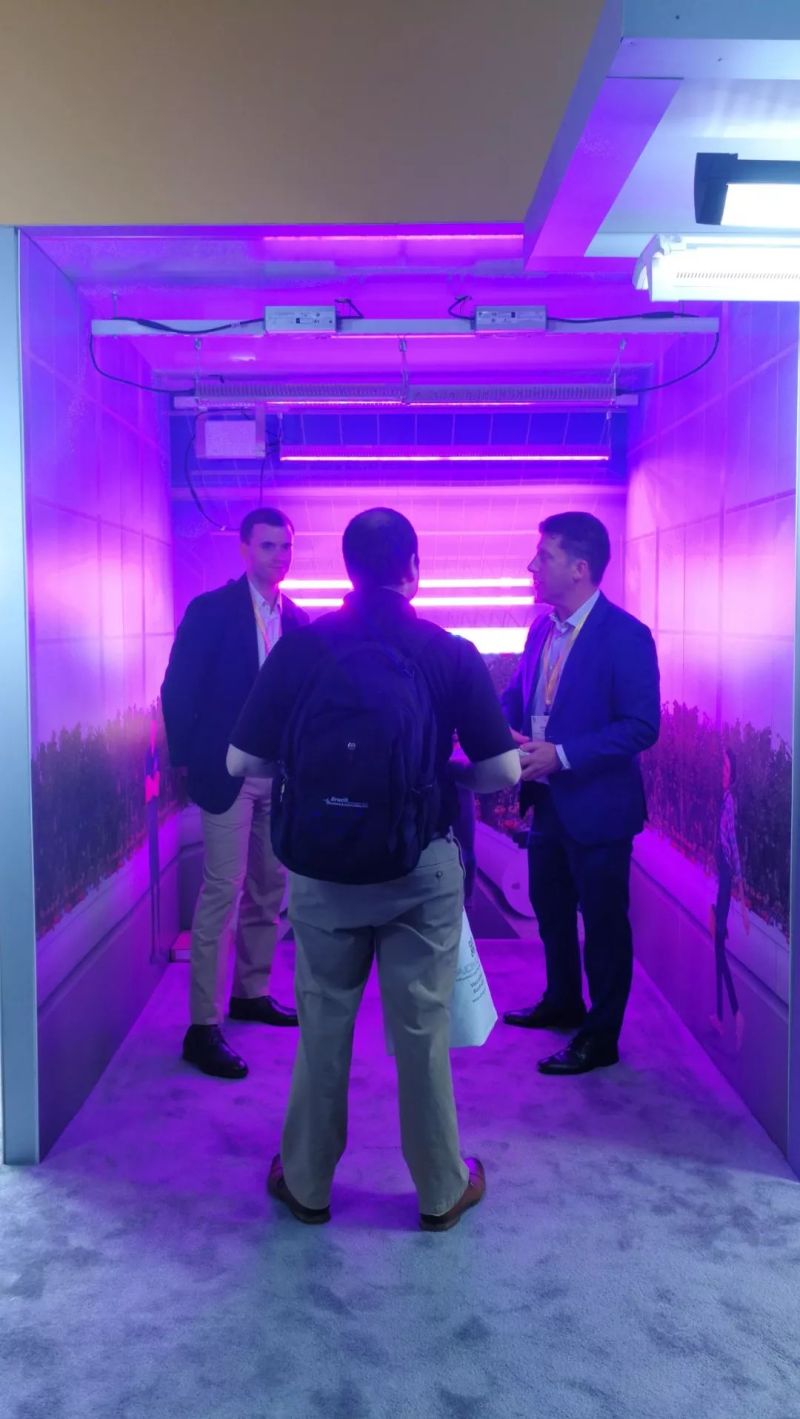 【行业资讯】老洪带你逛2019美国国际照明展（二）