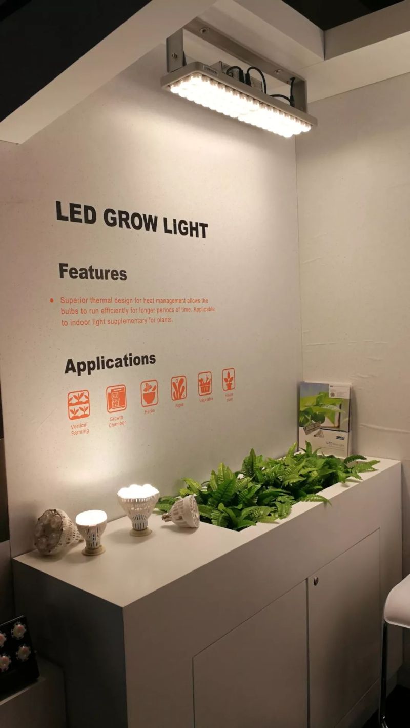 【行业资讯】老洪带你逛2019美国国际照明展（二）