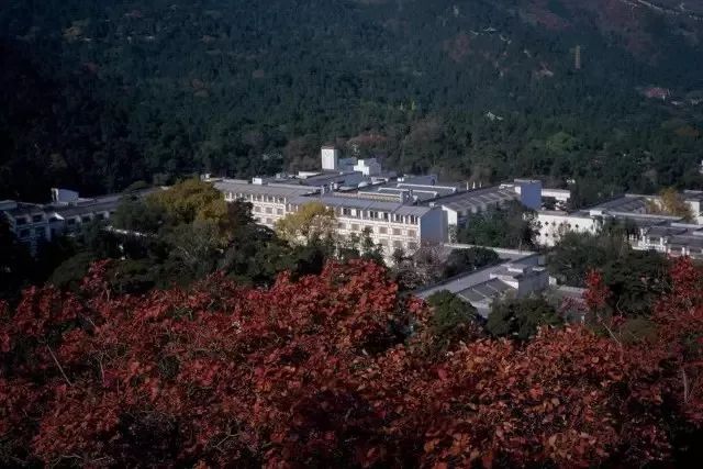 华裔建筑大师贝聿铭逝世，用102年诠释“让光线来做设计”