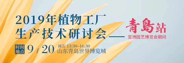 LED照明这场戏还怎么演？