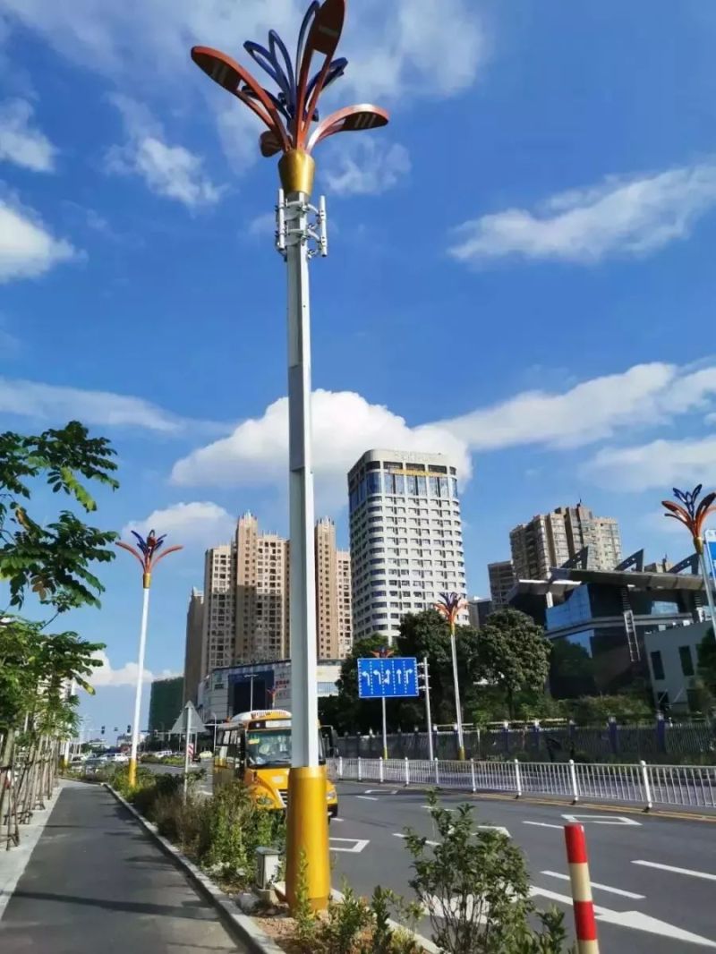 佛照携手国星发力健康照明，肇庆试点智慧灯杆