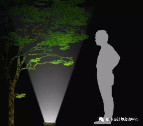 华而美隐形照树灯助力广州黄埔区景观亮化