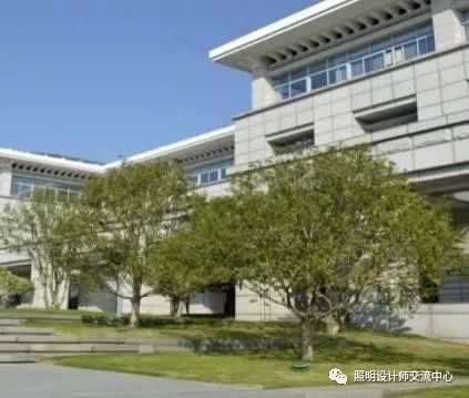 华而美隐形照树灯助力广州黄埔区景观亮化