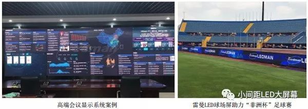 雷曼光电发布2019年半年度报告