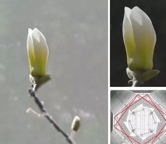 “东莞第一高楼”照明设计详解