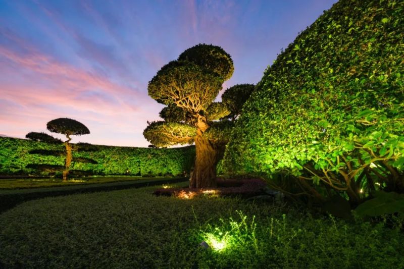 南湖公园夜景照明，打造南宁城市后花园