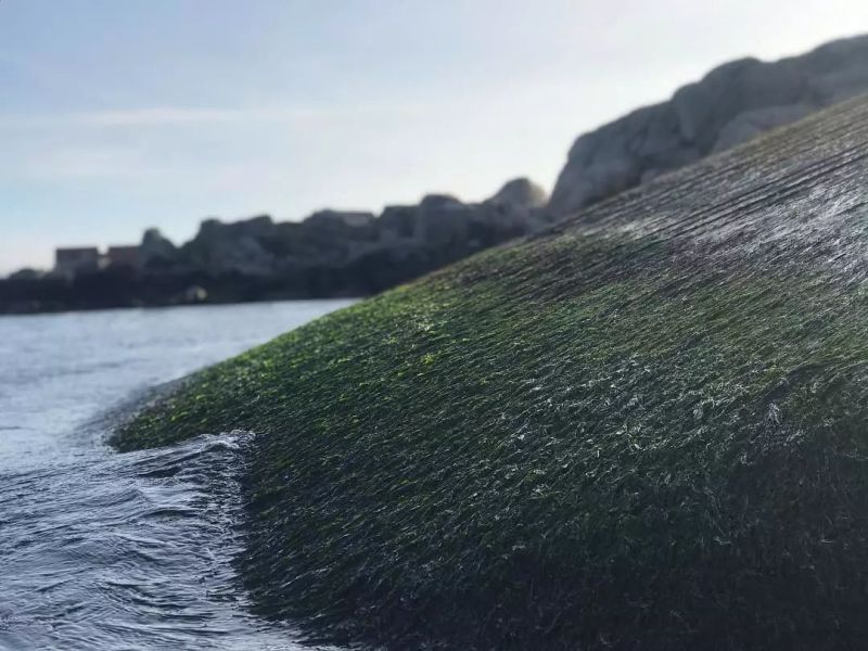 众多世界级建筑为什么能成为“网红”？因为它们的设计着实牛逼