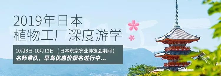 LED照明这场戏还怎么演？