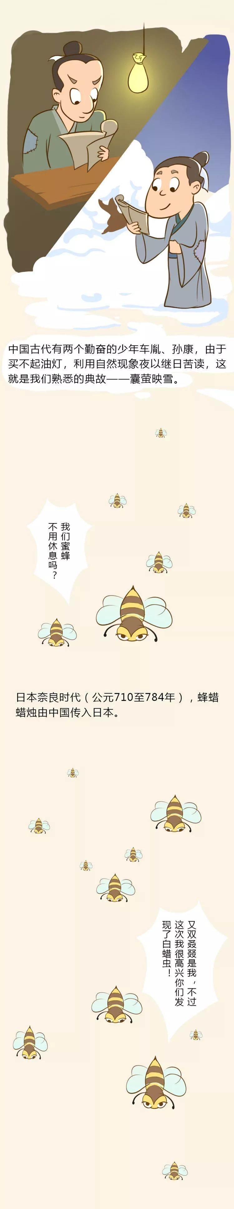 一张图带你了解人类照明工具的“进化史”！