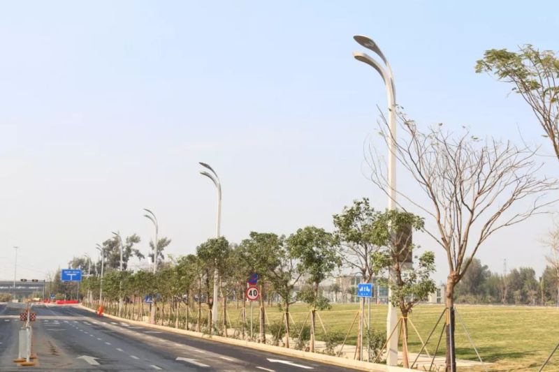 年度盘点︱洲明2019专业照明经典案例