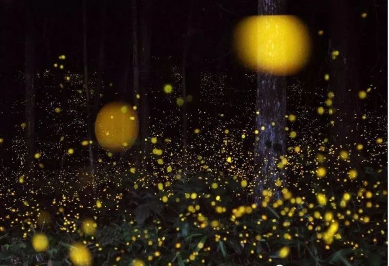 “东莞第一高楼”照明设计详解