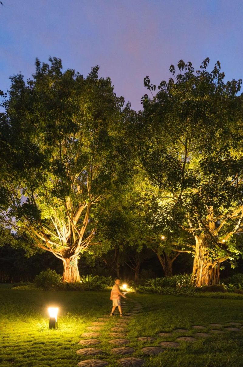 南湖公园夜景照明，打造南宁城市后花园