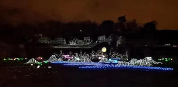 “艺”家 | 黄则玄：法兰西中国玫瑰的向“光”之路