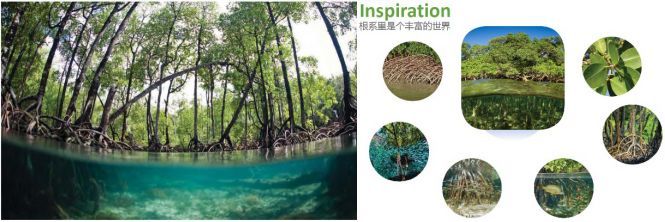 世园会植物馆：不可思议的灯光智慧