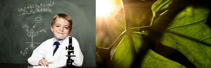 世园会植物馆：不可思议的灯光智慧