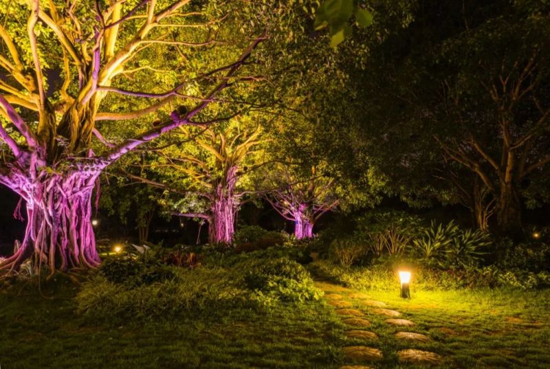 南湖公园夜景照明，打造南宁城市后花园