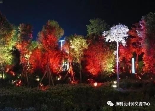 华而美隐形照树灯助力广州黄埔区景观亮化