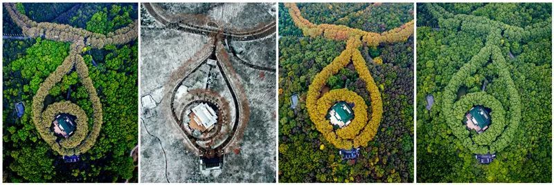 七夕夜，“美龄宫项链”再次被点亮！