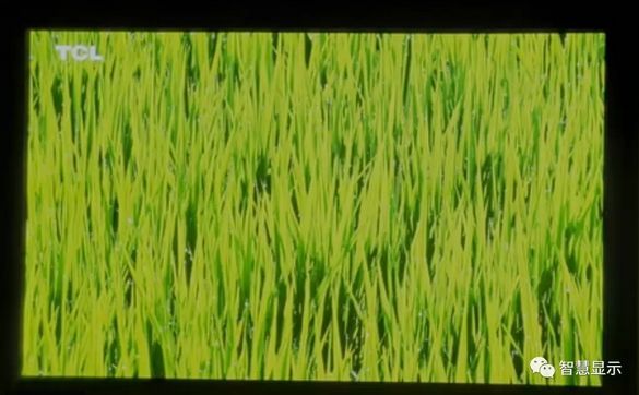 TCL展示132吋2400万颗Micro LED 4K电视，对比度2500000:1