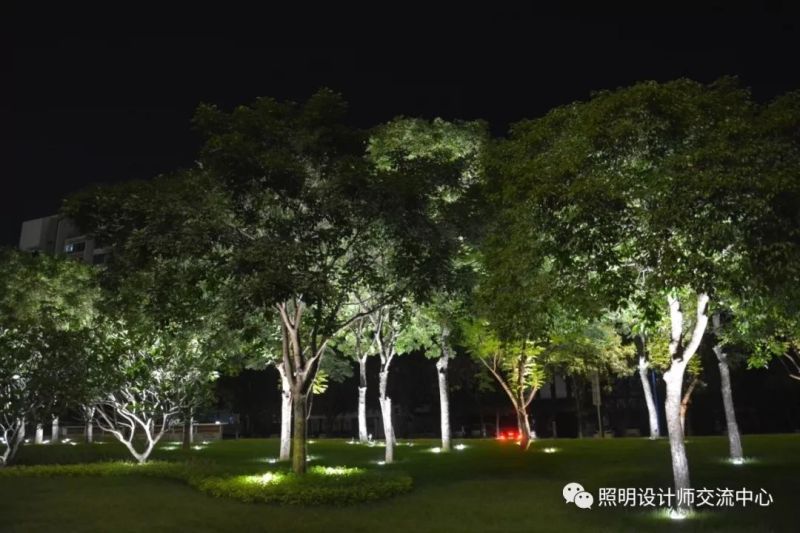 华而美隐形照树灯助力广州黄埔区景观亮化