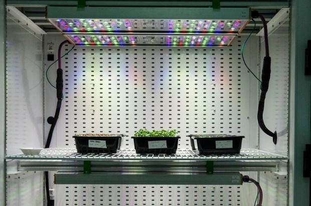 欧司朗携最新光电技术亮相CES 2019